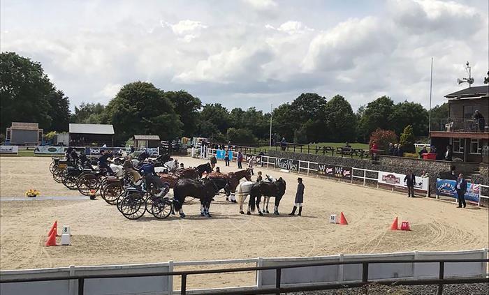 Carriages lining up for their Rosettes